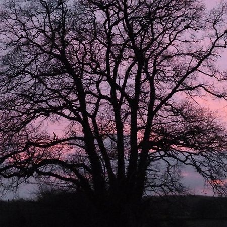 Priston Whidlecombe Farm Bed & Breakfast エクステリア 写真