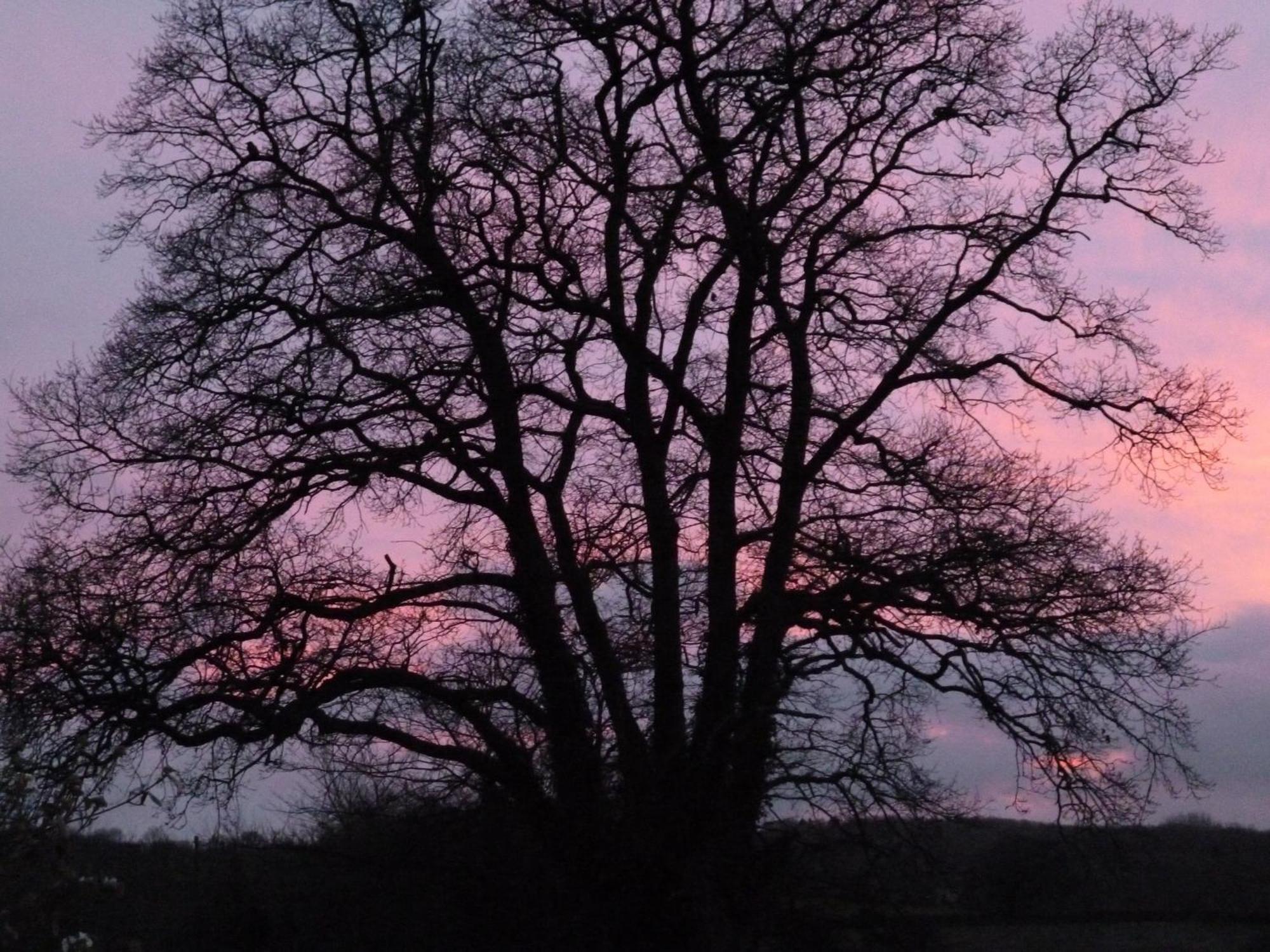 Priston Whidlecombe Farm Bed & Breakfast エクステリア 写真